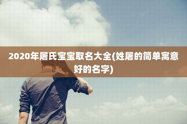 2020年屠氏宝宝取名大全(姓屠的简单寓意好的名字)