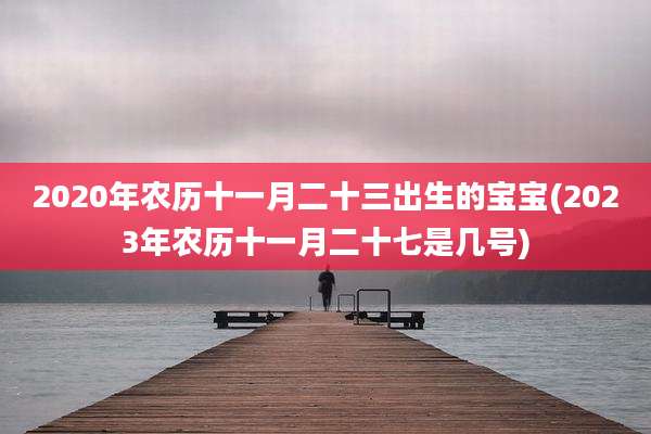 2020年农历十一月二十三出生的宝宝(2023年农历十一月二十七是几号)