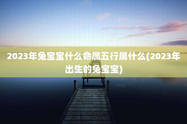 2023年兔宝宝什么命属五行属什么(2023年出生的兔宝宝)
