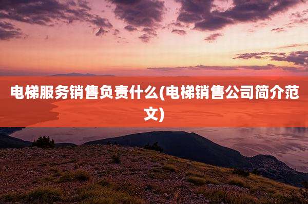电梯服务销售负责什么(电梯销售公司简介范文)