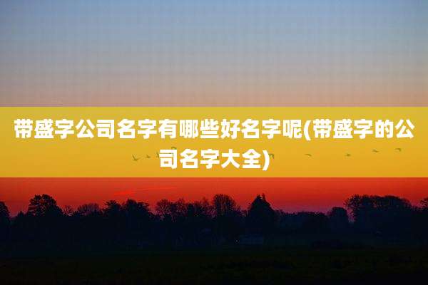 带盛字公司名字有哪些好名字呢(带盛字的公司名字大全)