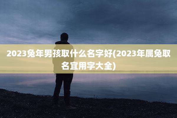 2023兔年男孩取什么名字好(2023年属兔取名宜用字大全)