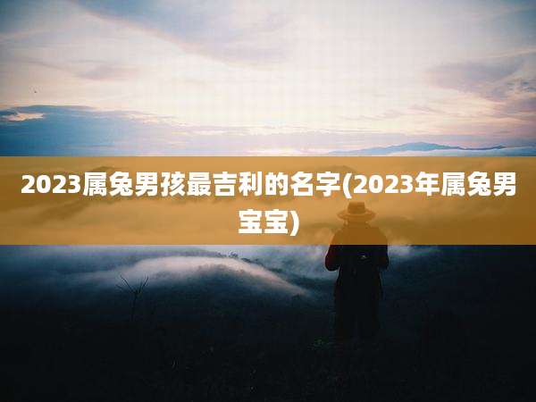 2023属兔男孩最吉利的名字(2023年属兔男宝宝)