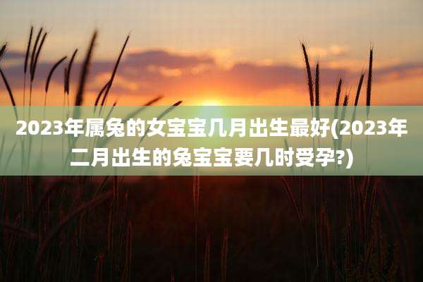 2023年属兔的女宝宝几月出生最好(2023年二月出生的兔宝宝要几时受孕?)