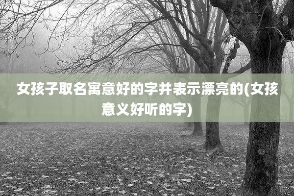 女孩子取名寓意好的字并表示漂亮的(女孩意义好听的字)