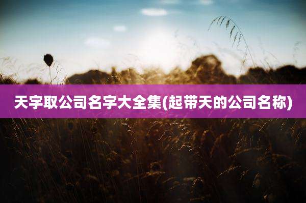 天字取公司名字大全集(起带天的公司名称)