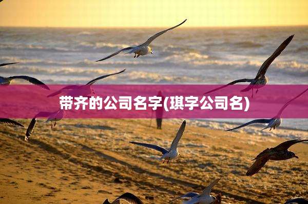 带齐的公司名字(琪字公司名)