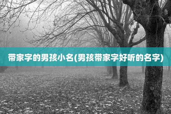 带家字的男孩小名(男孩带家字好听的名字)