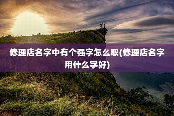 修理店名字中有个强字怎么取(修理店名字用什么字好)