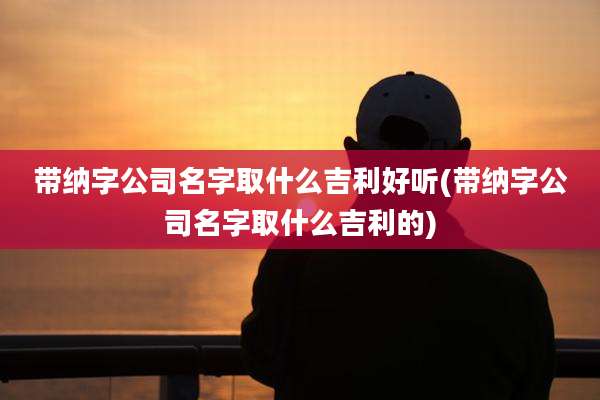 带纳字公司名字取什么吉利好听(带纳字公司名字取什么吉利的)