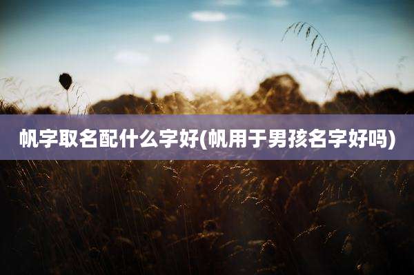 帆字取名配什么字好(帆用于男孩名字好吗)