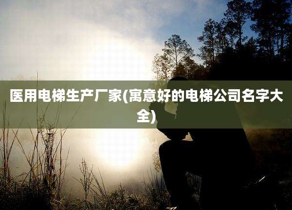 医用电梯生产厂家(寓意好的电梯公司名字大全)