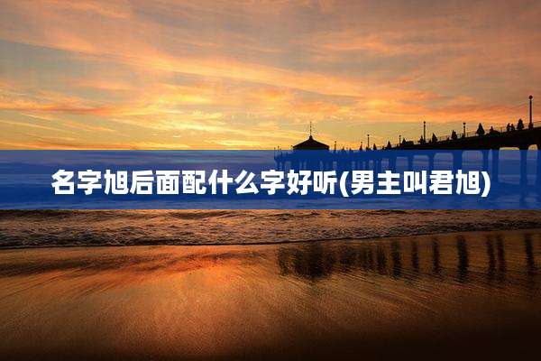 名字旭后面配什么字好听(男主叫君旭)