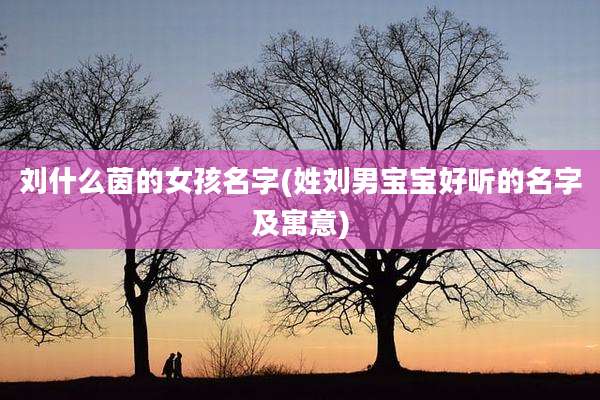 刘什么茵的女孩名字(姓刘男宝宝好听的名字及寓意)