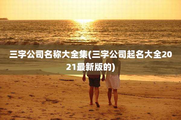 三字公司名称大全集(三字公司起名大全2021最新版的)
