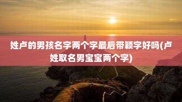 姓卢的男孩名字两个字最后带颖字好吗(卢姓取名男宝宝两个字)