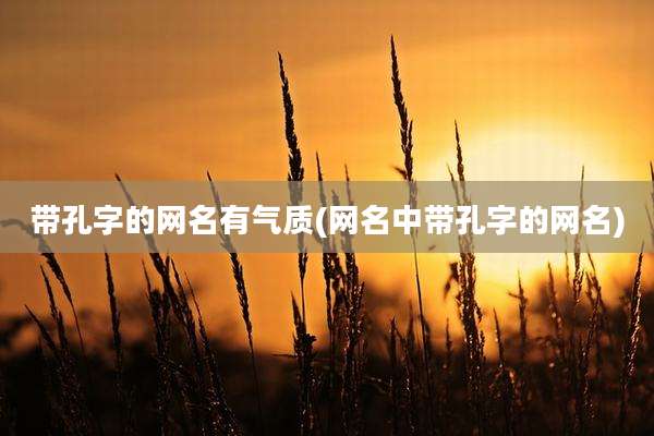 带孔字的网名有气质(网名中带孔字的网名)