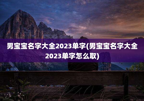 男宝宝名字大全2023单字(男宝宝名字大全2023单字怎么取)