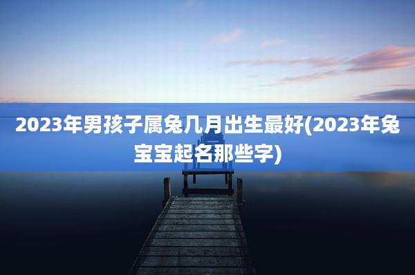 2023年男孩子属兔几月出生最好(2023年兔宝宝起名那些字)