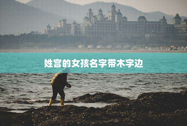 姓宫的女孩名字带木字边