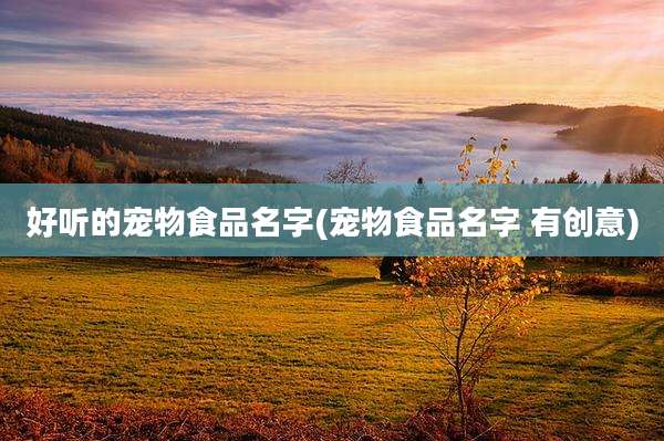好听的宠物食品名字(宠物食品名字 有创意)