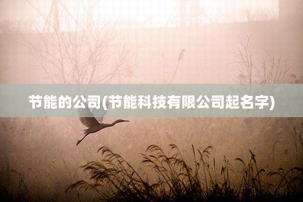 节能的公司(节能科技有限公司起名字)