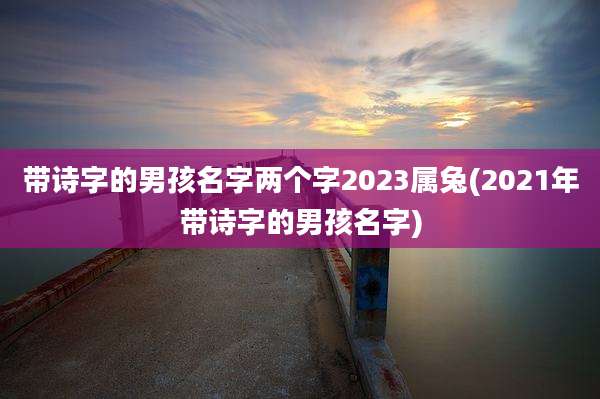 带诗字的男孩名字两个字2023属兔(2021年带诗字的男孩名字)
