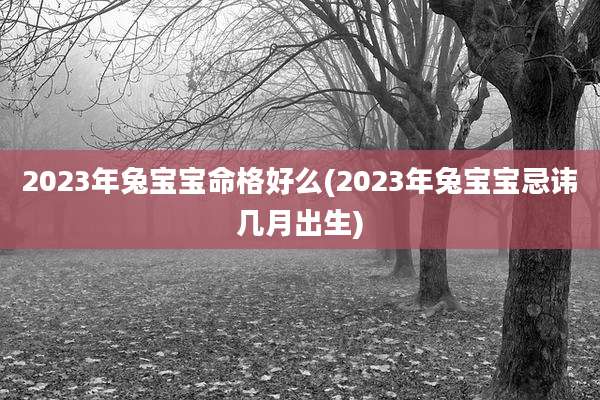 2023年兔宝宝命格好么(2023年兔宝宝忌讳几月出生)