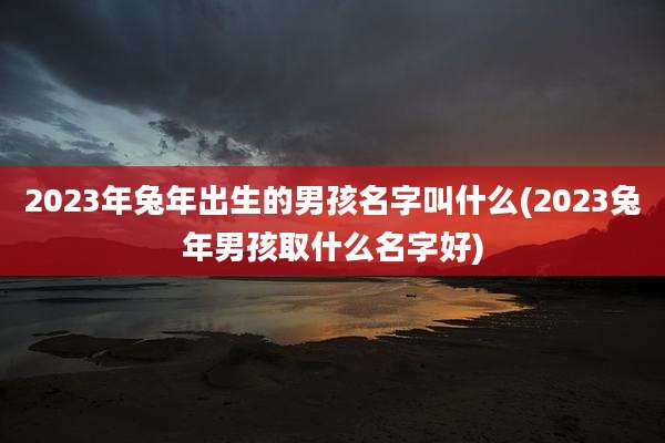 2023年兔年出生的男孩名字叫什么(2023兔年男孩取什么名字好)