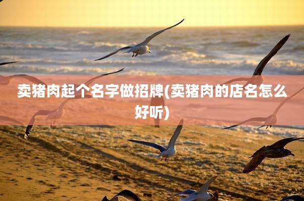 卖猪肉起个名字做招牌(卖猪肉的店名怎么好听)