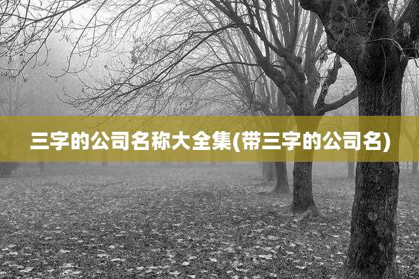 三字的公司名称大全集(带三字的公司名)