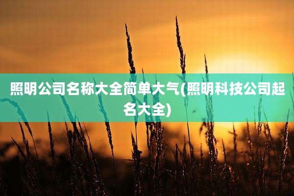 照明公司名称大全简单大气(照明科技公司起名大全)