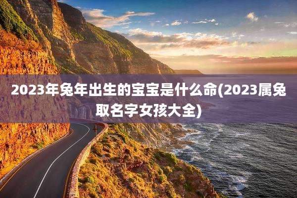 2023年兔年出生的宝宝是什么命(2023属兔取名字女孩大全)