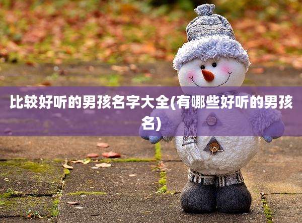 比较好听的男孩名字大全(有哪些好听的男孩名)