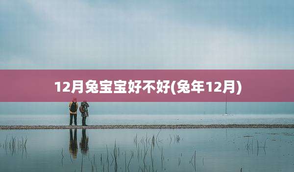 12月兔宝宝好不好(兔年12月)