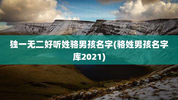 独一无二好听姓骆男孩名字(骆姓男孩名字库2021)