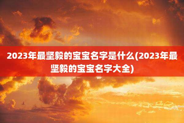 2023年最坚毅的宝宝名字是什么(2023年最坚毅的宝宝名字大全)