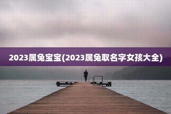 2023属兔宝宝(2023属兔取名字女孩大全)