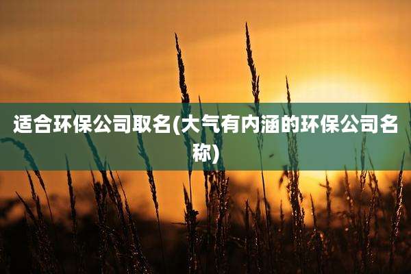 适合环保公司取名(大气有内涵的环保公司名称)