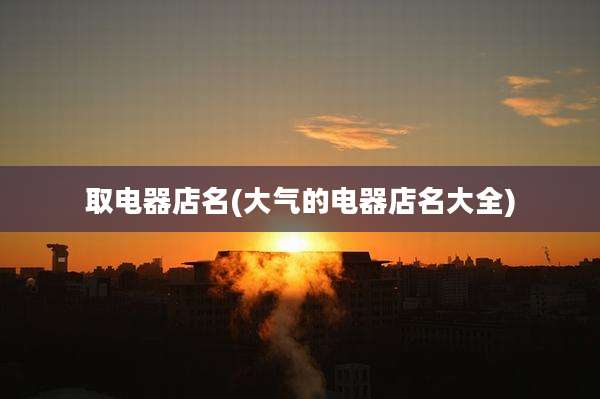 取电器店名(大气的电器店名大全)