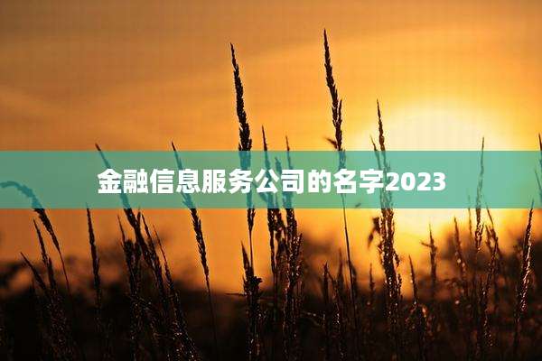 金融信息服务公司的名字2023