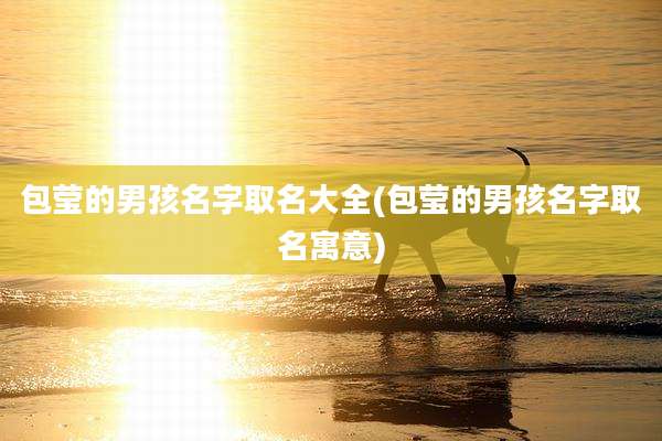 包莹的男孩名字取名大全(包莹的男孩名字取名寓意)