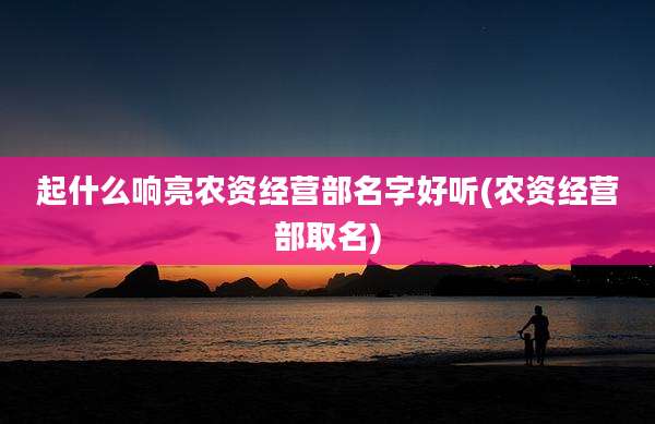 起什么响亮农资经营部名字好听(农资经营部取名)