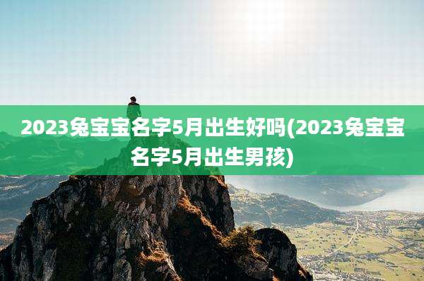 2023兔宝宝名字5月出生好吗(2023兔宝宝名字5月出生男孩)