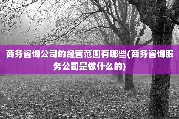 商务咨询公司的经营范围有哪些(商务咨询服务公司是做什么的)