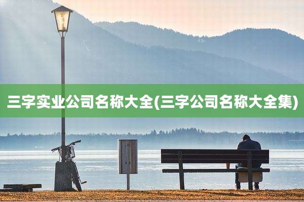 三字实业公司名称大全(三字公司名称大全集)