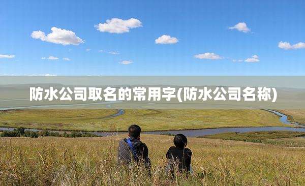 防水公司取名的常用字(防水公司名称)