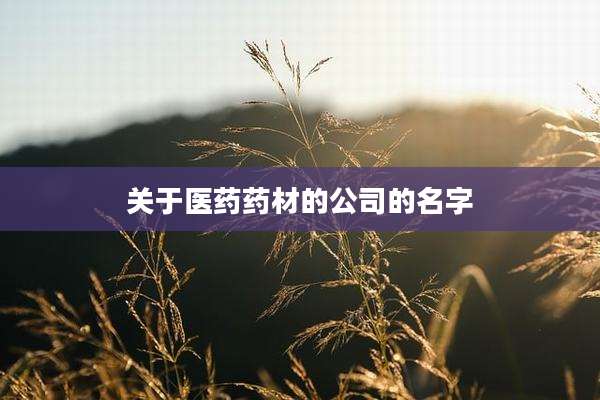 关于医药药材的公司的名字