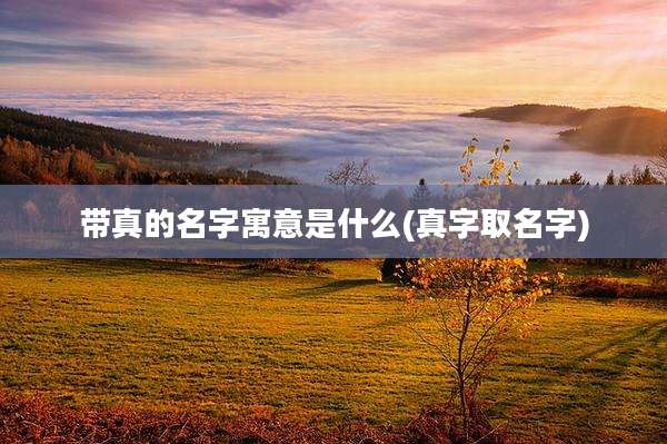 带真的名字寓意是什么(真字取名字)