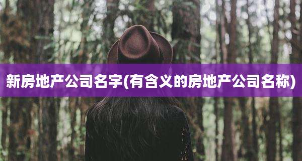 新房地产公司名字(有含义的房地产公司名称)